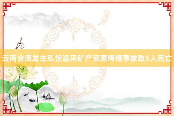 云南会泽发生私挖盗采矿产资源垮塌事故致5人死亡