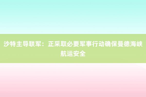 沙特主导联军：正采取必要军事行动确保曼德海峡航运安全