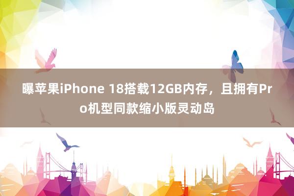 曝苹果iPhone 18搭载12GB内存，且拥有Pro机型同款缩小版灵动岛