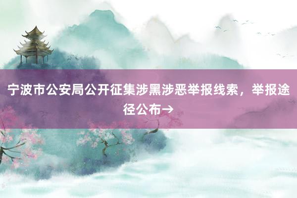 宁波市公安局公开征集涉黑涉恶举报线索，举报途径公布→