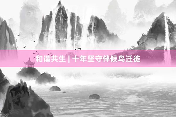 和谐共生 | 十年坚守伴候鸟迁徙
