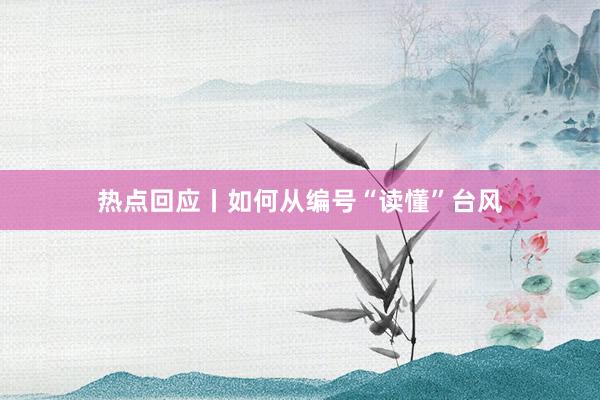 热点回应丨如何从编号“读懂”台风