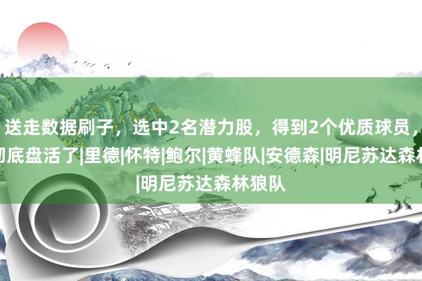 送走数据刷子，选中2名潜力股，得到2个优质球员，黄蜂彻底盘活了|里德|怀特|鲍尔|黄蜂队|安德森|明尼苏达森林狼队