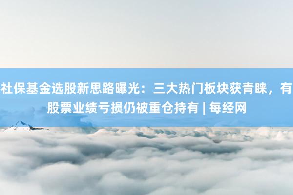 社保基金选股新思路曝光：三大热门板块获青睐，有股票业绩亏损仍被重仓持有 | 每经网