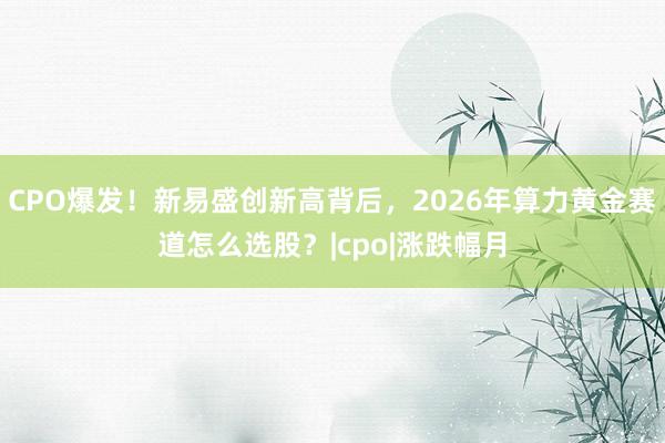 CPO爆发!新易盛创新高背后,2026年算力黄金赛道怎么选股?|cpo|涨跌幅月