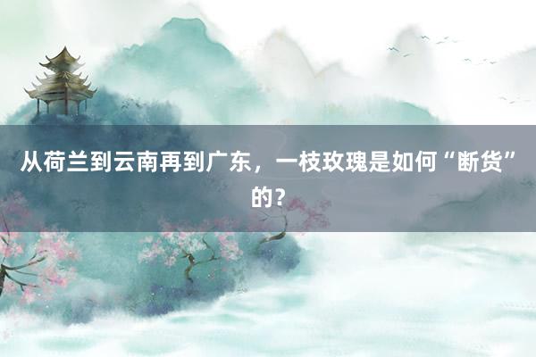 从荷兰到云南再到广东，一枝玫瑰是如何“断货”的？