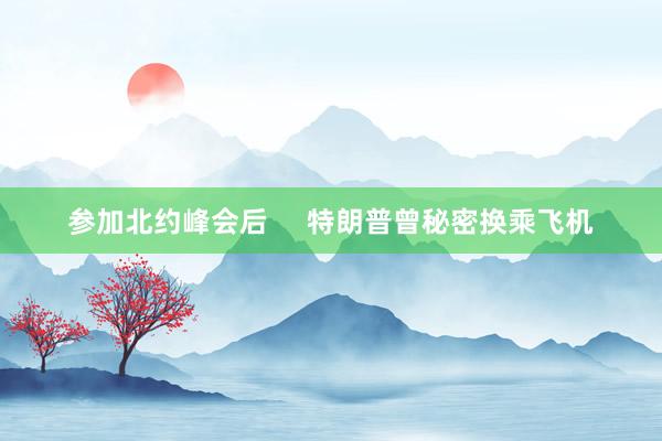 参加北约峰会后 特朗普曾秘密换乘飞机