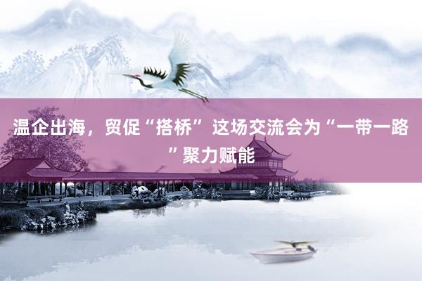 温企出海，贸促“搭桥” 这场交流会为“一带一路”聚力赋能