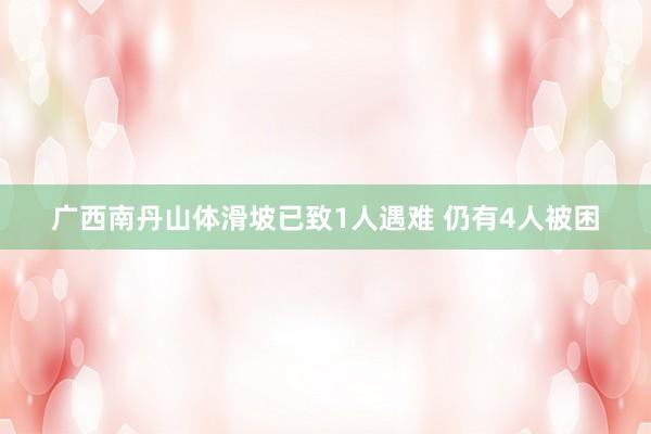 广西南丹山体滑坡已致1人遇难 仍有4人被困