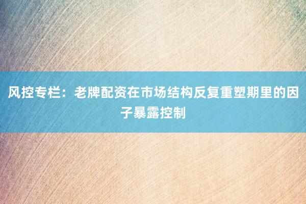 风控专栏：老牌配资在市场结构反复重塑期里的因子暴露控制
