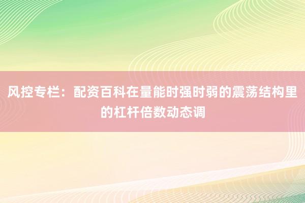 风控专栏：配资百科在量能时强时弱的震荡结构里的杠杆倍数动态调