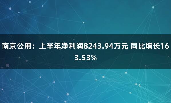 南京公用：上半年净利润8243.94万元 同比增长163.53%