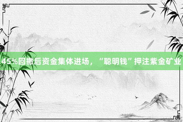45%回撤后资金集体进场，“聪明钱”押注紫金矿业