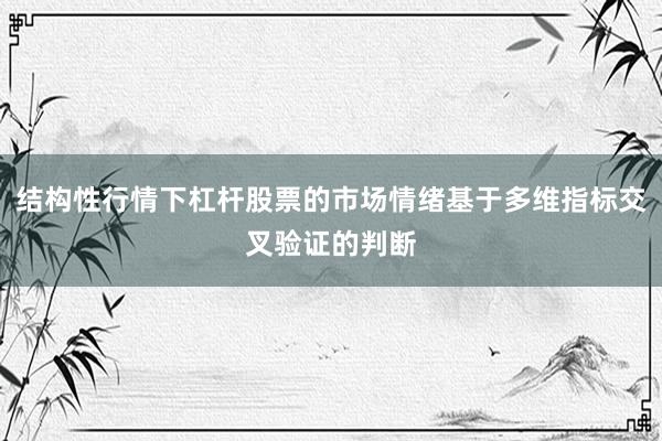 结构性行情下杠杆股票的市场情绪基于多维指标交叉验证的判断