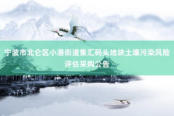 宁波市北仑区小港街道集汇码头地块土壤污染风险评估采购公告