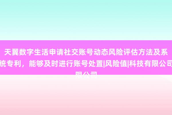 天翼数字生活申请社交账号动态风险评估方法及系统专利，能够及时进行账号处置|风险值|科技有限公司