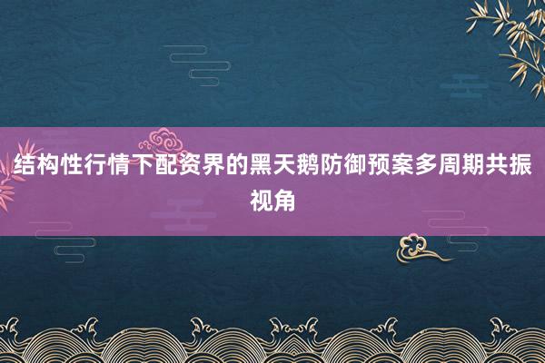 结构性行情下配资界的黑天鹅防御预案多周期共振视角