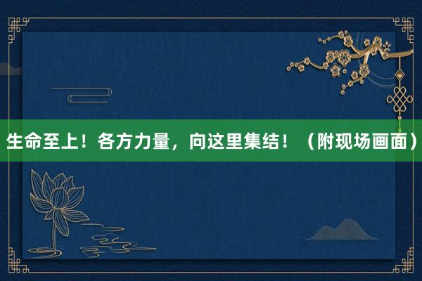 生命至上！各方力量，向这里集结！（附现场画面）