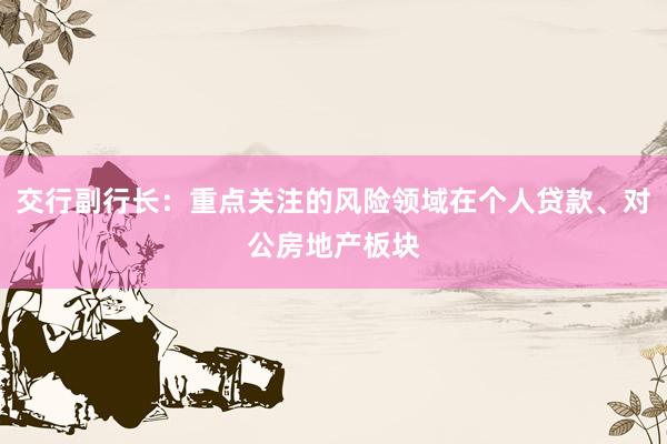 交行副行长：重点关注的风险领域在个人贷款、对公房地产板块
