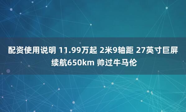 配资使用说明 11.99万起 2米9轴距 27英寸巨屏 续航650km 帅过牛马伦