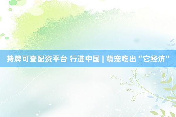 持牌可查配资平台 行进中国 | 萌宠吃出“它经济”