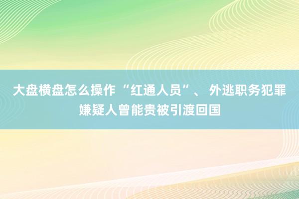 大盘横盘怎么操作 “红通人员”、 外逃职务犯罪嫌疑人曾能贵被引渡回国