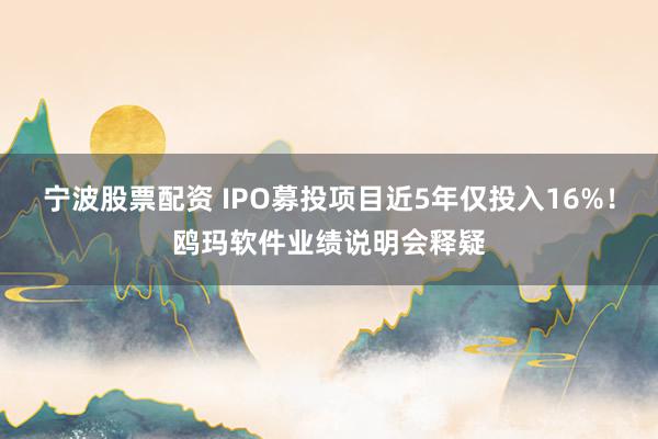 宁波股票配资 IPO募投项目近5年仅投入16%！鸥玛软件业绩说明会释疑