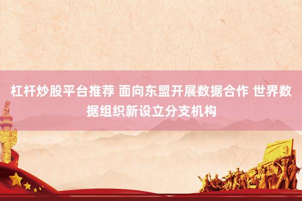 杠杆炒股平台推荐 面向东盟开展数据合作 世界数据组织新设立分支机构